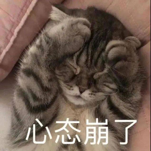 熊猫头沉默表情包图片