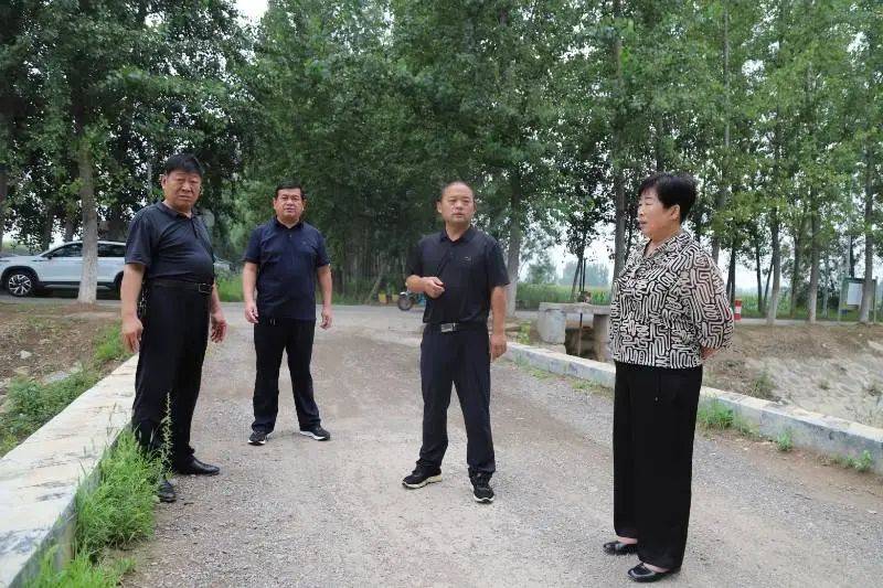 【乡镇动态】乐平铺镇:人大代表视察防汛备汛工作_应急_茌平_情况