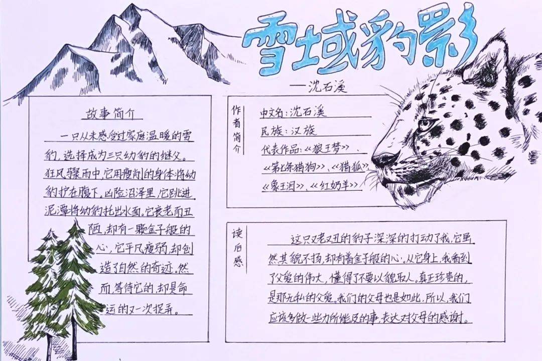 观赏雪域豹影 领略自然风光 | 快乐暑假 悦读相伴"暑假阅读活动优秀