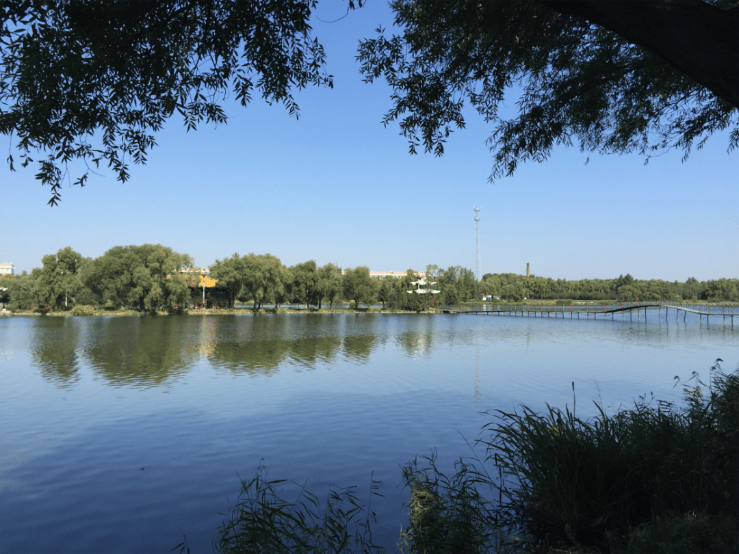 这里是大兴安岭清河