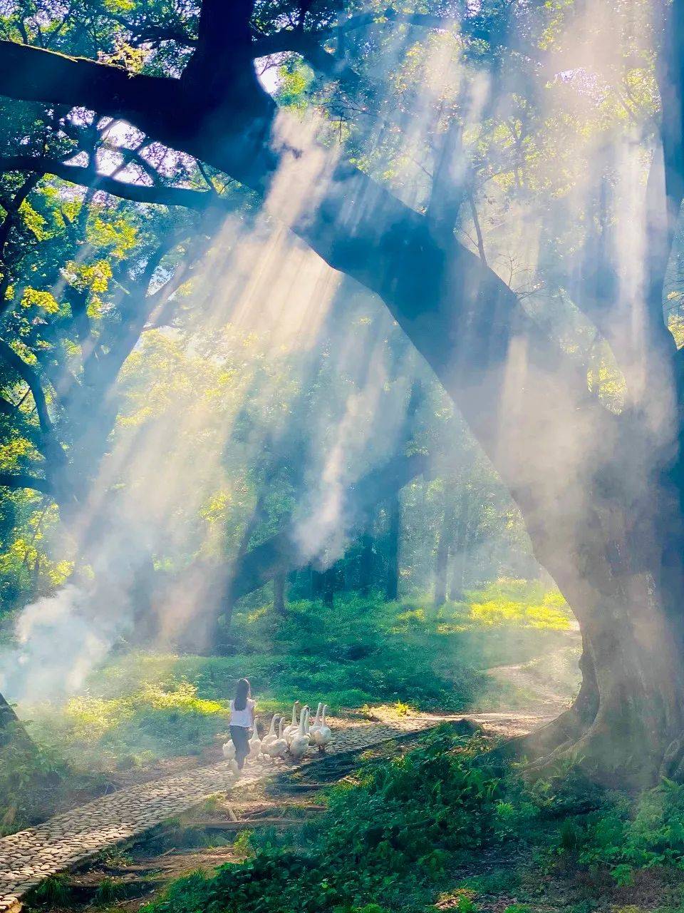 福建竟私藏了个"中国斯里兰卡",宁德霞浦美爆啦!