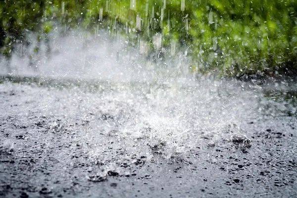 中雨转大雨图片