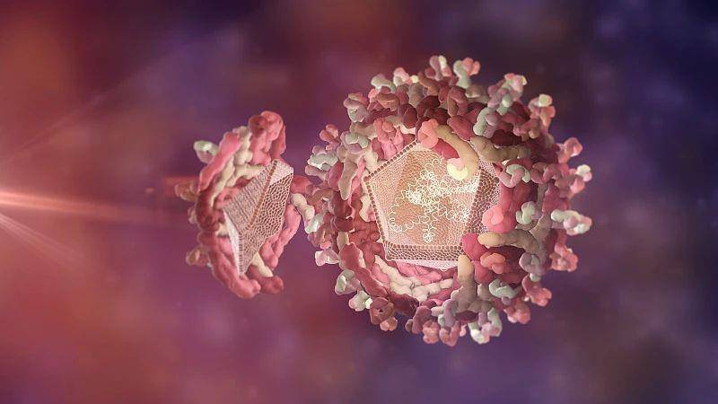 这种病毒疫情在全球多地暴发,至少62人死亡,会影响我国吗?