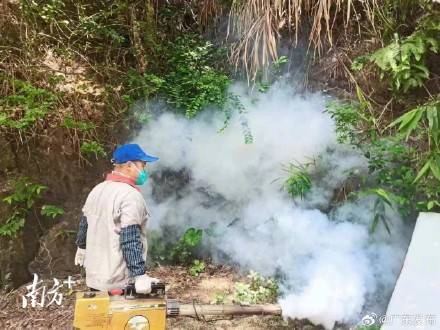 广州多区出现登革热病例