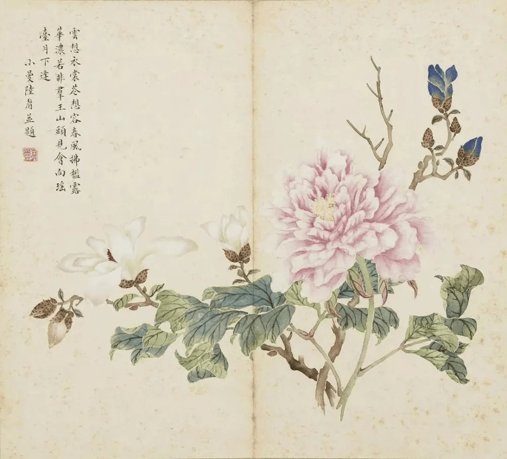 陆小曼的没骨画