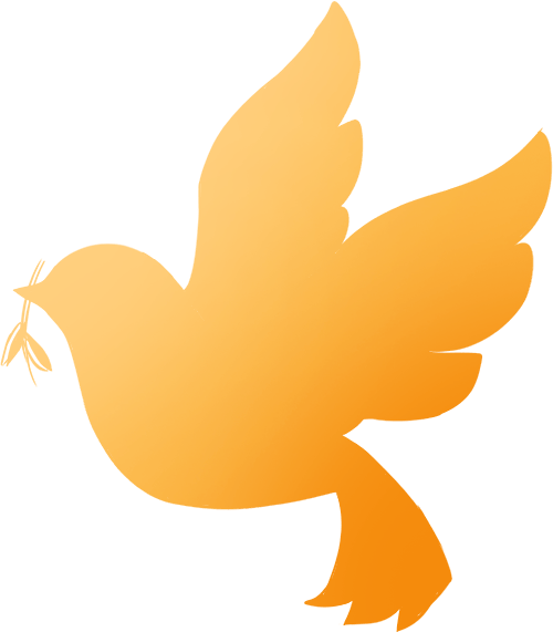 实地参观长白镇边境派出所政治教导员卢子洋通过宣传讲座用实际案例向