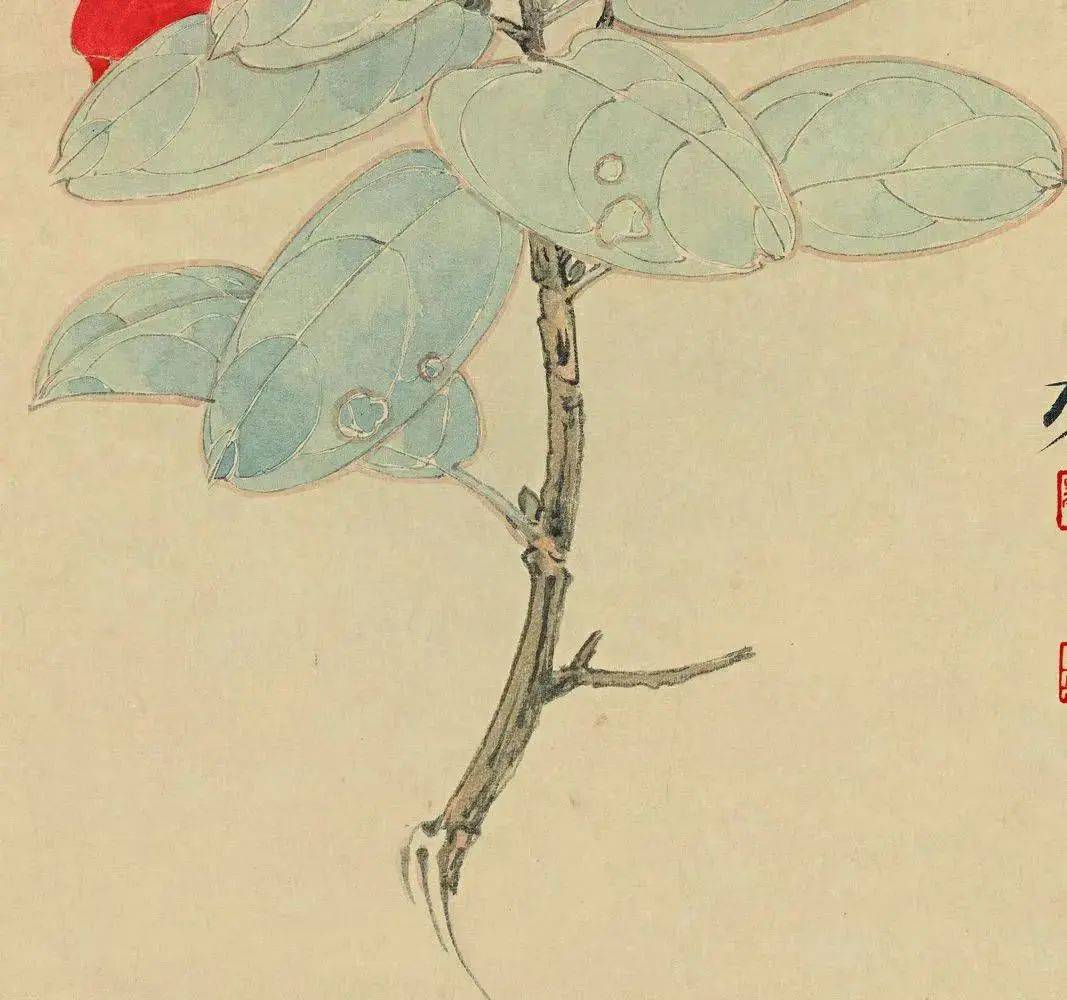 张大千:将茶花淡雅清韵的婉美气息已淋漓尽致地展现出来