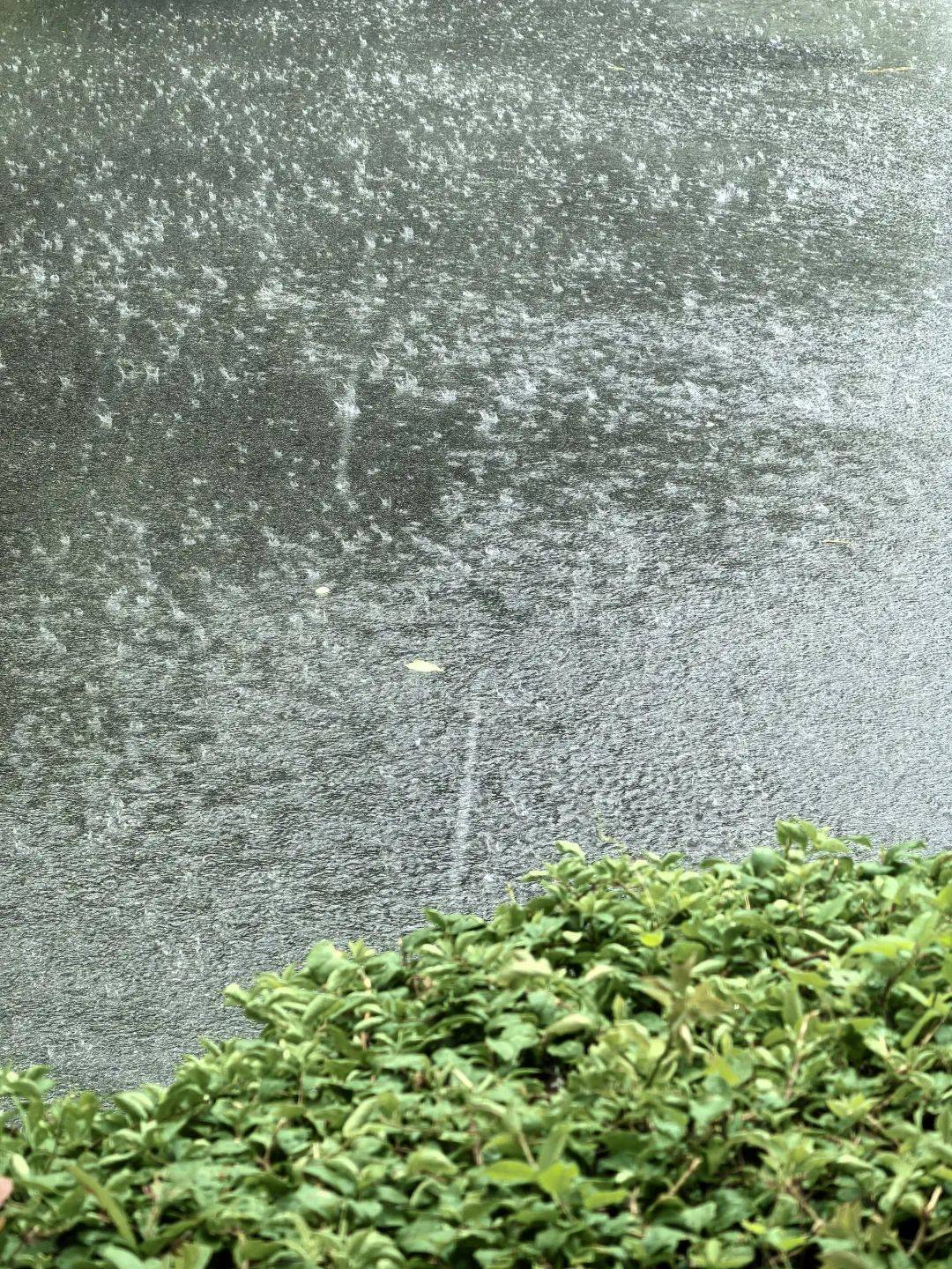 大风大雨来袭!泉州发布"双预警"!尽量不外出!