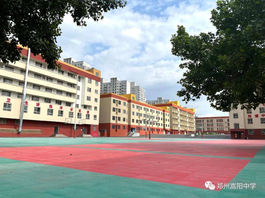 嵩阳小学图片