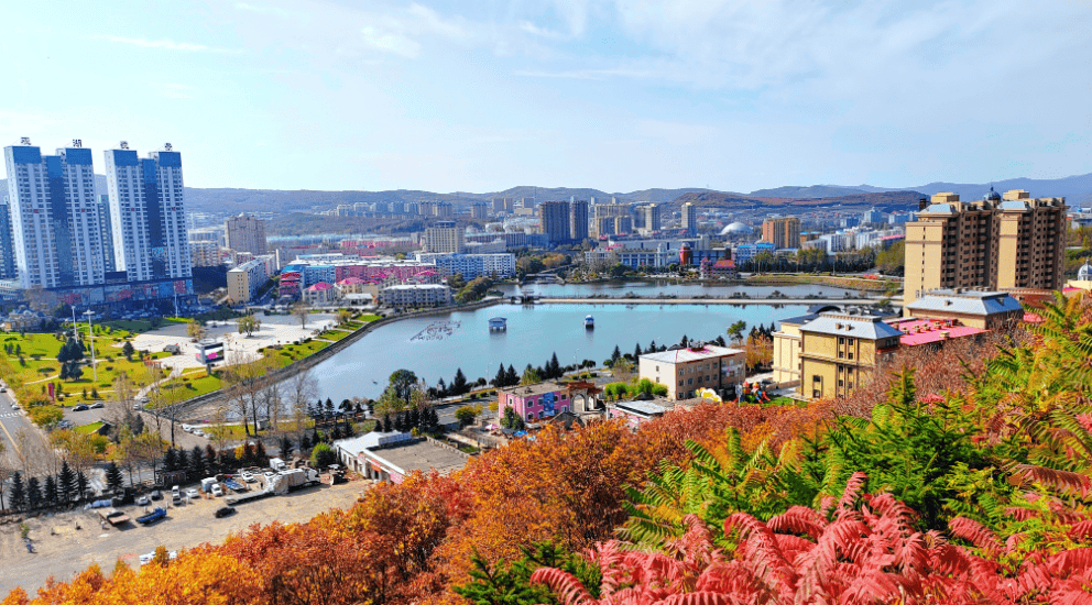 【龙头新闻·黑龙江日报】绥芬河市:政企交流同心 服务直达快享