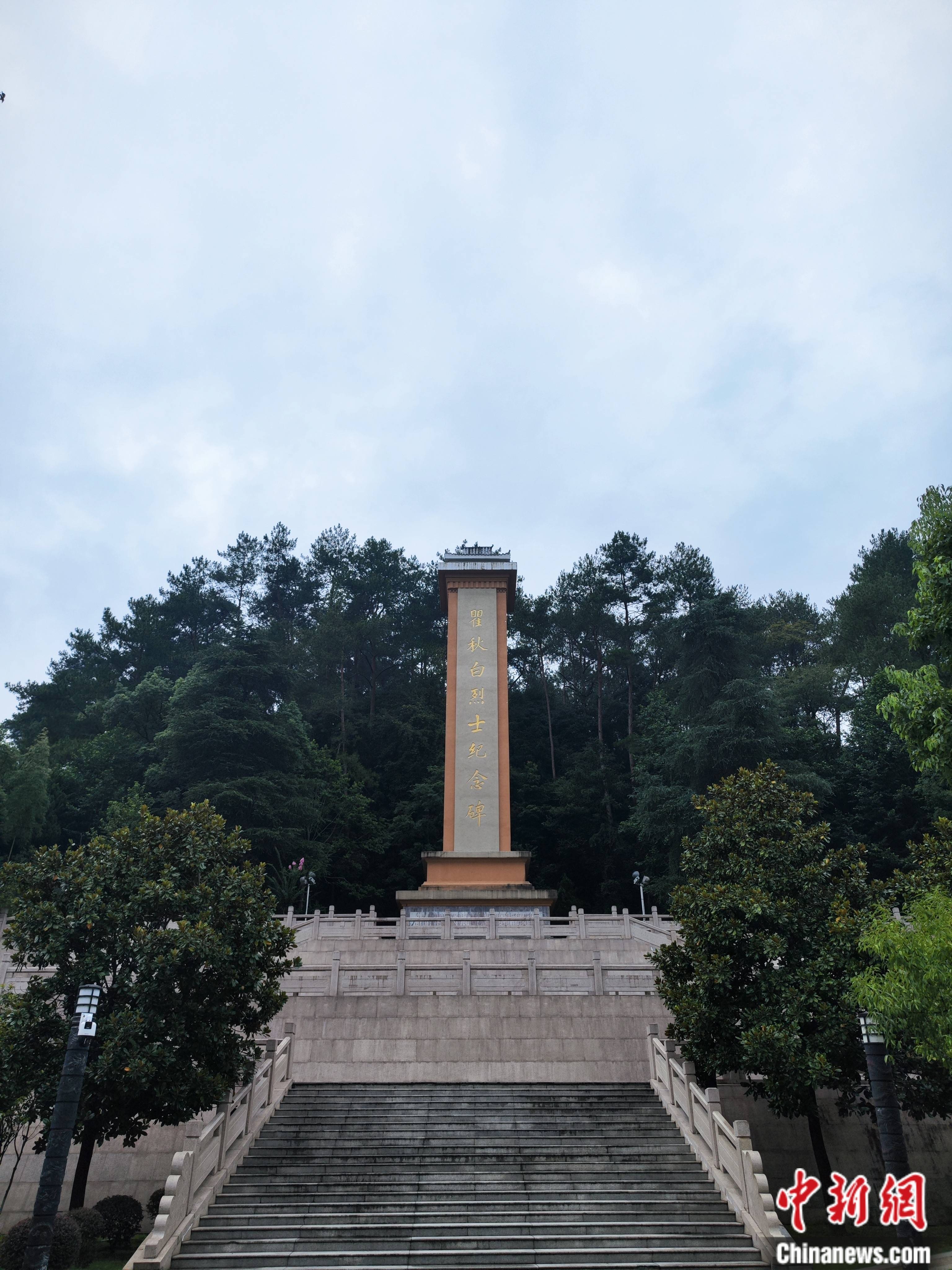 细雨涤尘,罗汉岭上,松柏更添新绿.