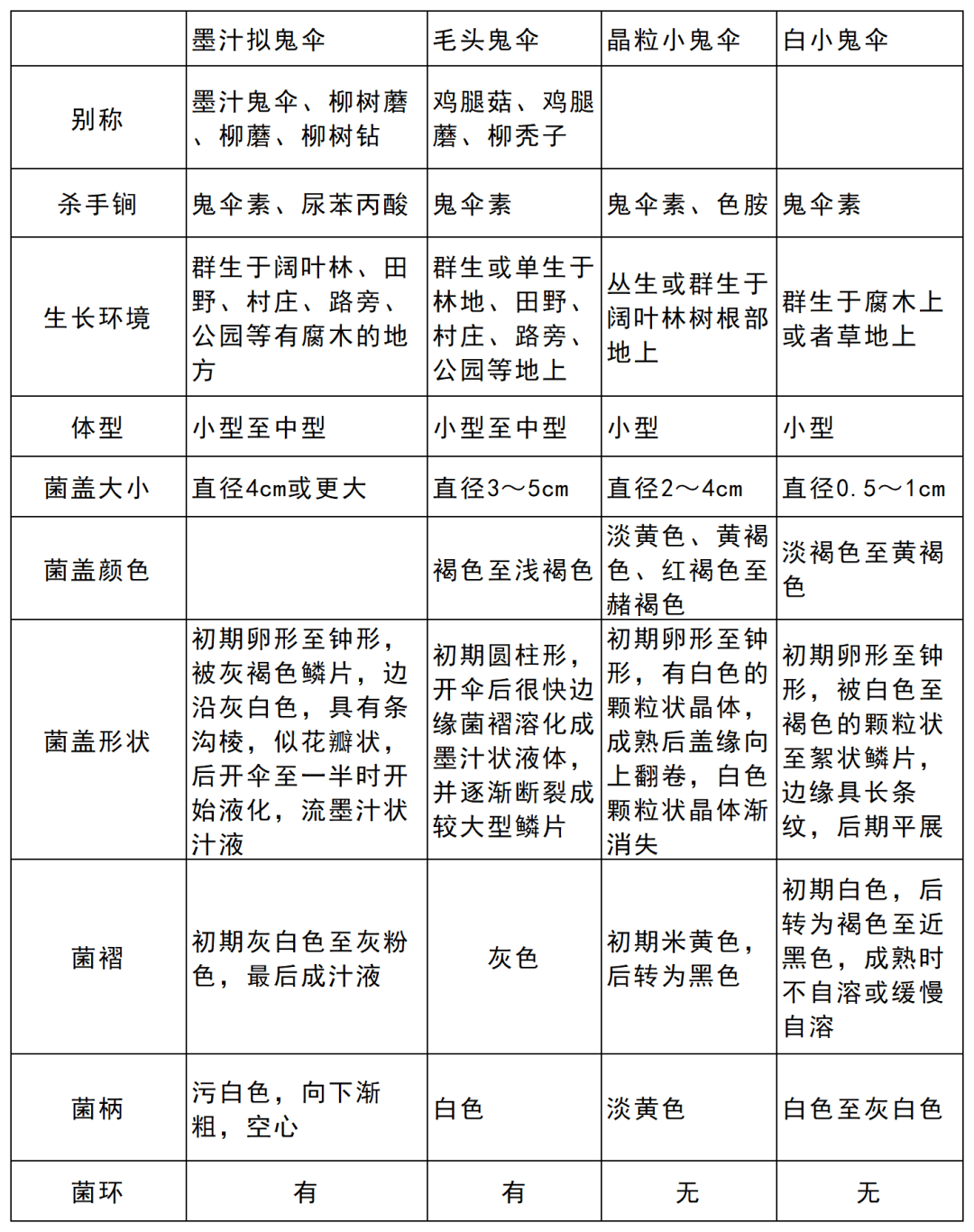 常见毒蘑菇图谱图片