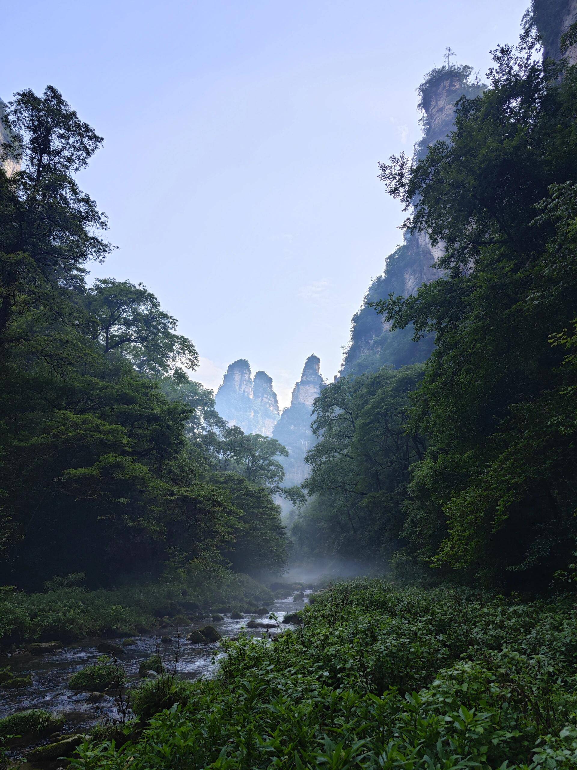 张家界旅游景点全景图图片