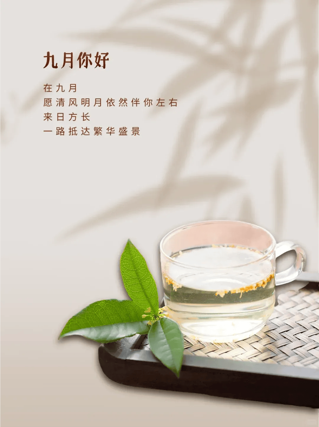 九月你好!唯美发圈文案与海报配图素材合集!