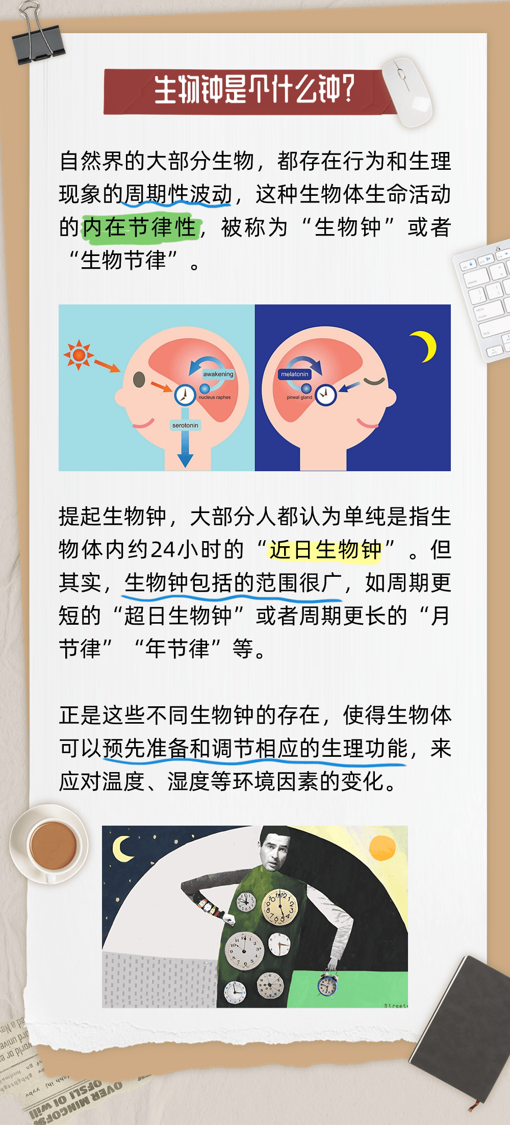 "颠倒黑白"的假期生活,如何拯救紊乱的生物钟?