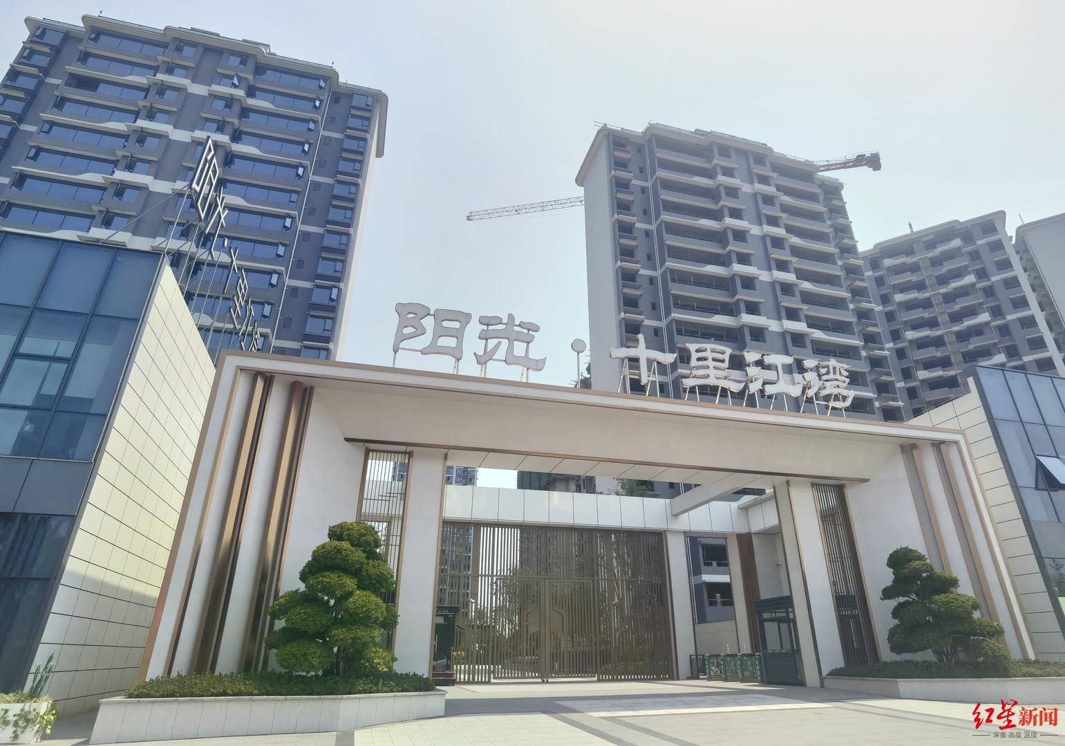 红星调查|卖房宣称“一梯一户”,交房却成“两梯两户”?业主质疑虚假宣传,相关部门已立案_电梯_该公司_住户