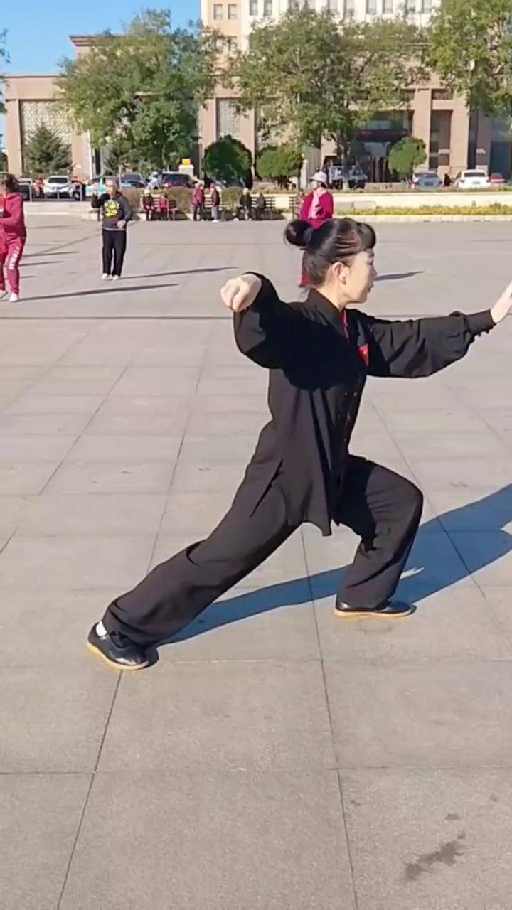 24式简化太极拳4