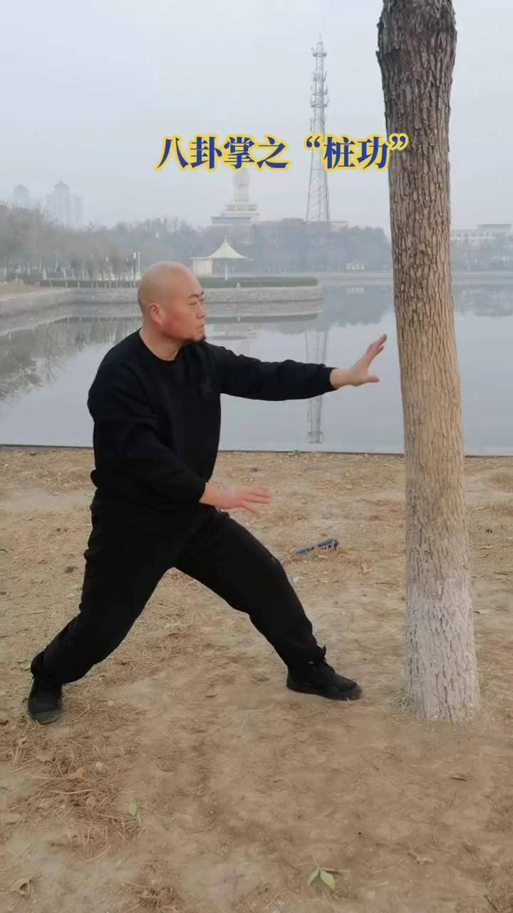 日常练习八卦掌之桩功发扬传承精武