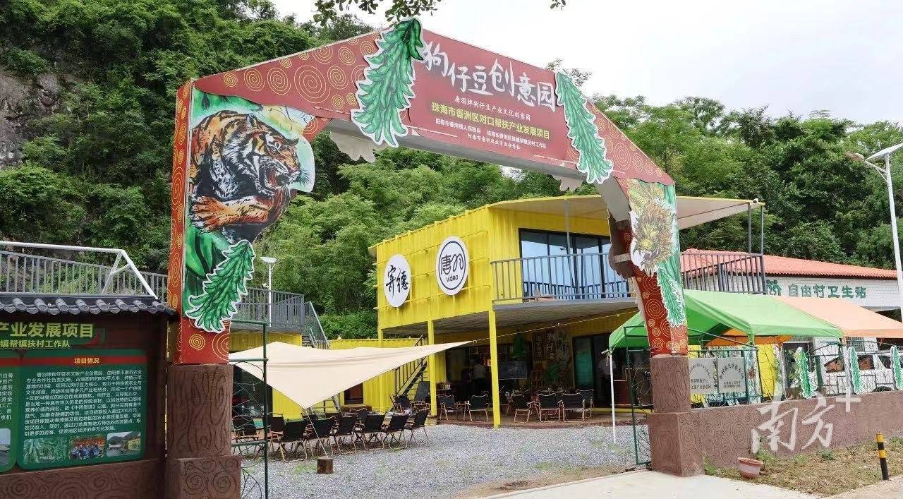 南方深读丨“院景”何以变前景？阳春建成美丽庭院3655万向娱乐网址户(图7)
