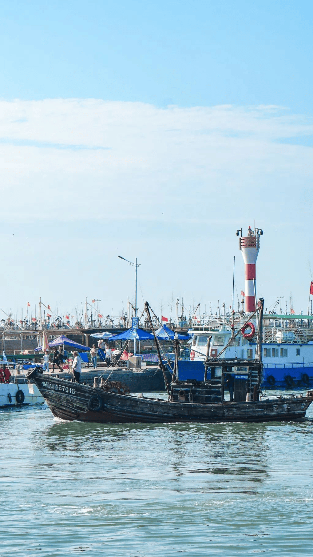 日照渔港码头海鲜市场图片