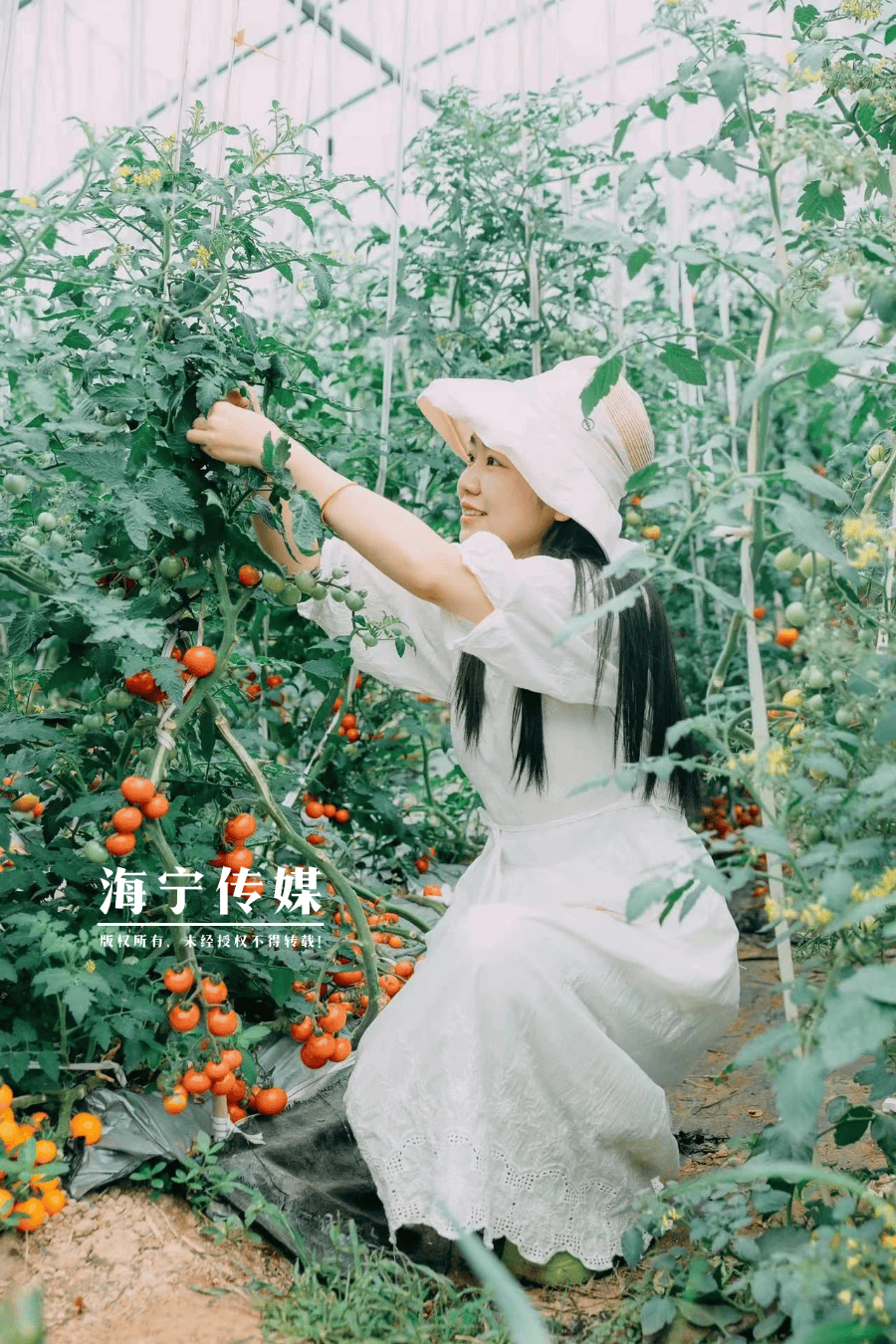 "种子猎人"之一的方芳2023年,在一次聚会中,塔莎园艺发出热情邀请