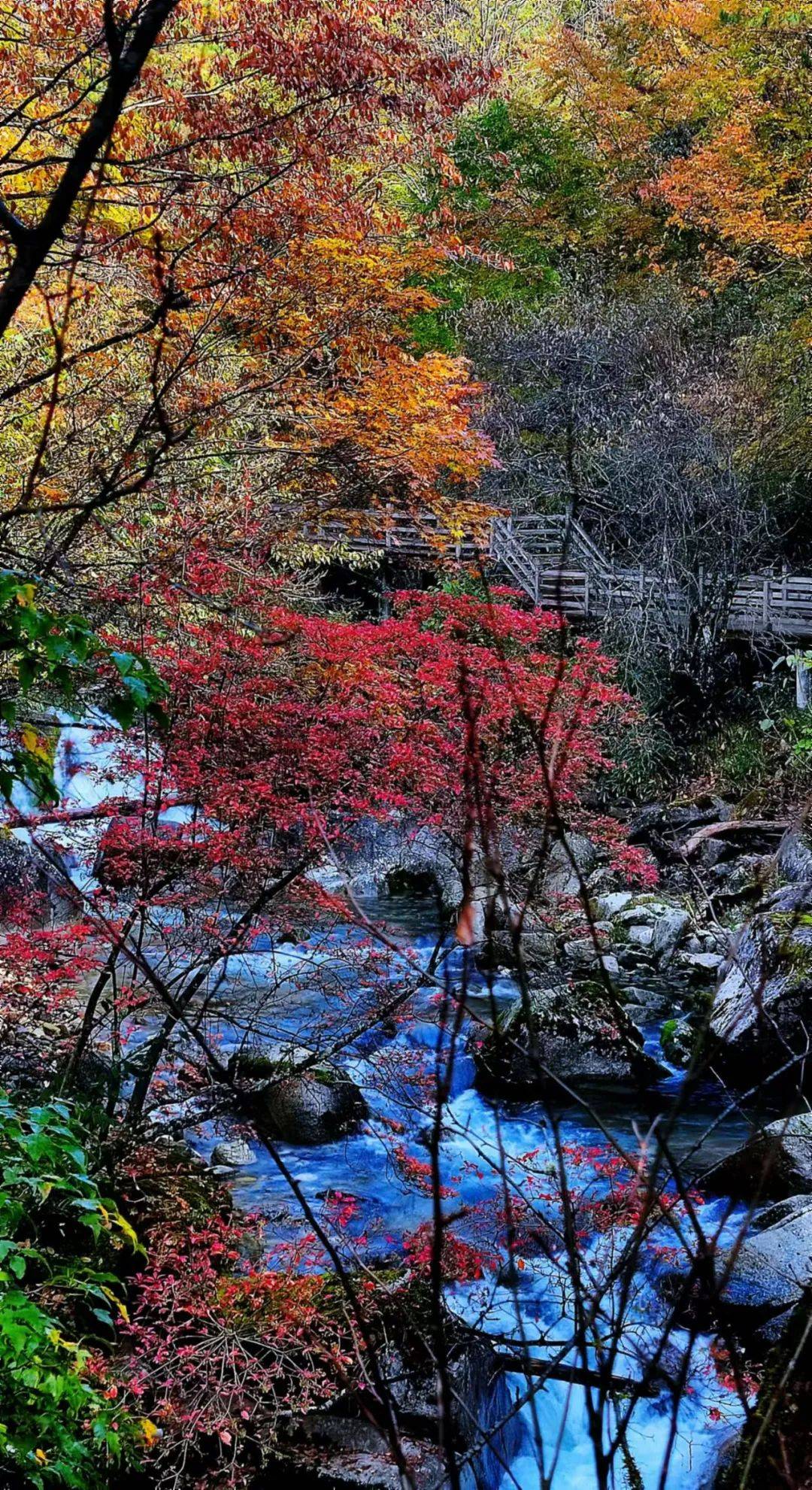 光雾山