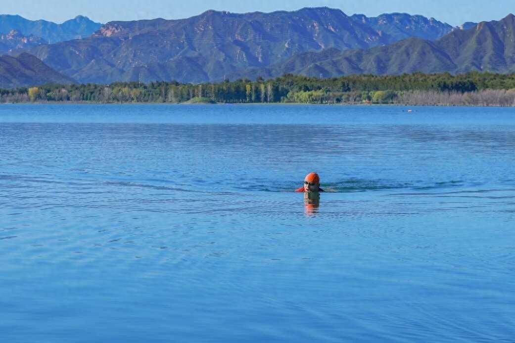 说真的！张朝阳游泳训练第五天 做好充分准备9月15日横渡威海湾