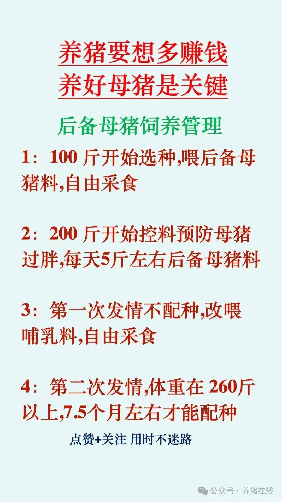 挑选母猪顺口溜图片