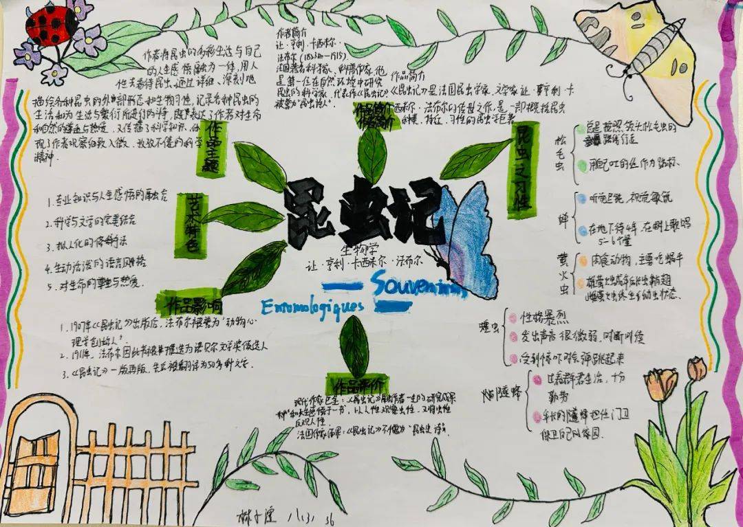 草虫的村落思维导图图片