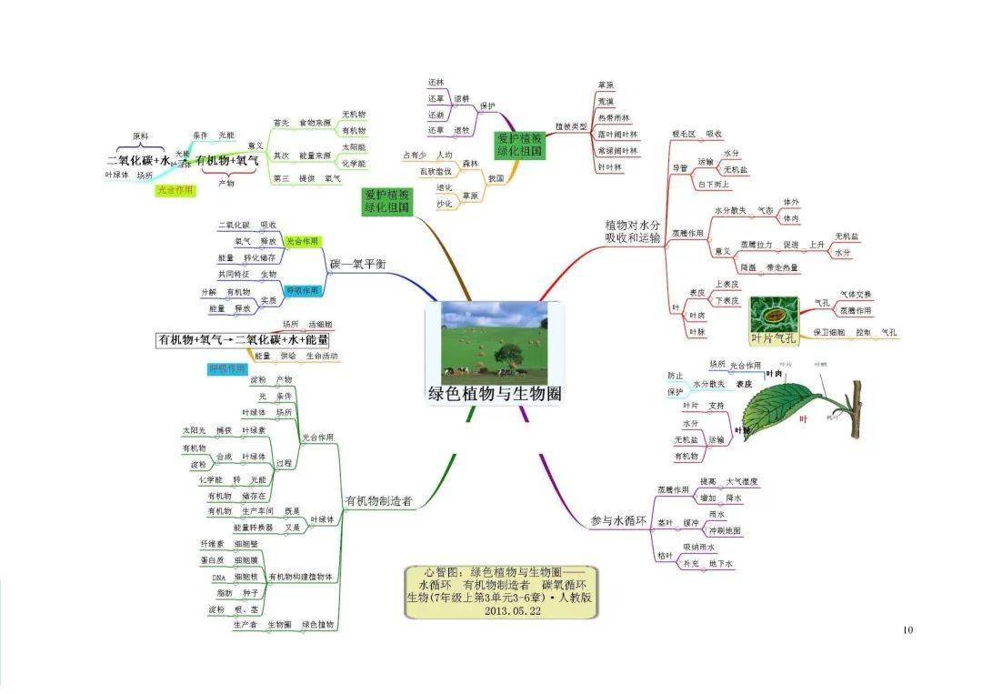 五大洲的思维导图图片