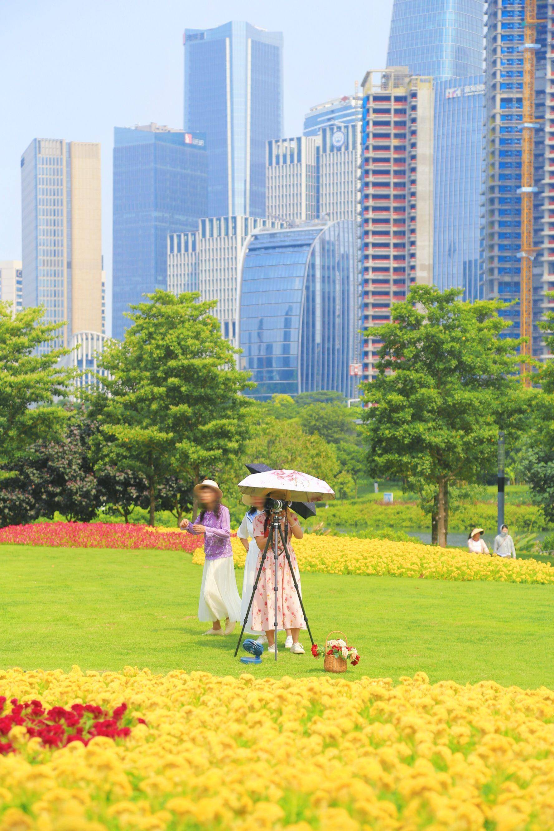 深圳花海旅游景点图片