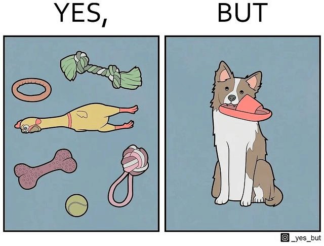 "yes, but" 系列讽刺漫画:揭示生活的两面性!