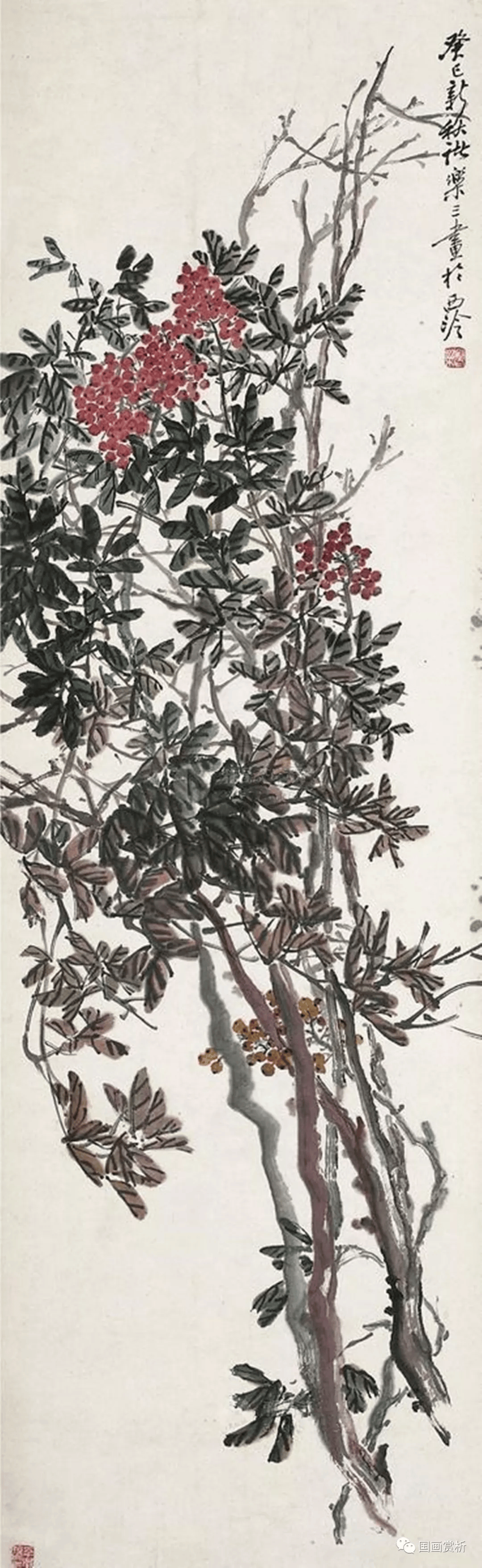 "吴派"诸乐三花鸟作品50幅_艺术_篆刻_国画