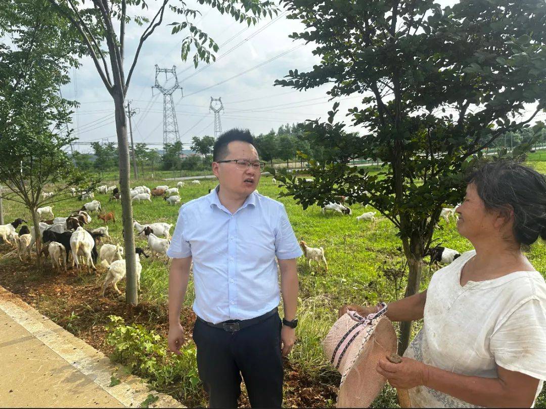 【助兴惠农】孝昌农商银行邹岗支行:金融"贷"动致富梦 铺设幸福"羊"
