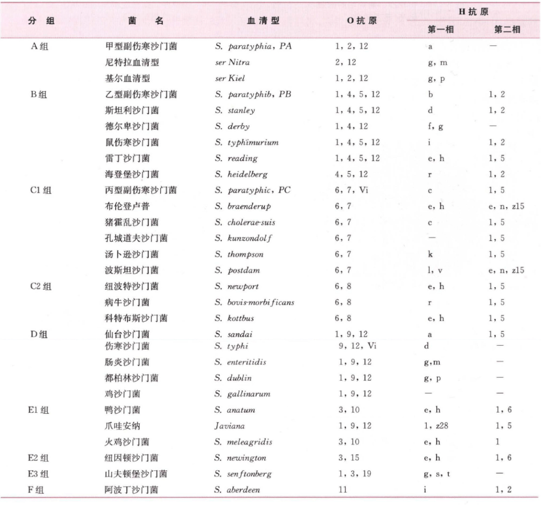 伤寒沙门菌血清型图片