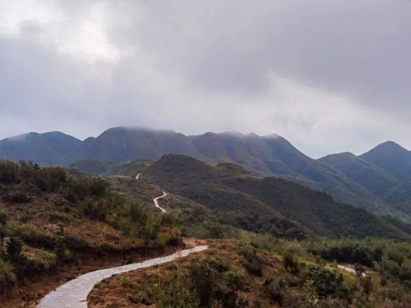 成行!【三龙穿雾】9月21晚