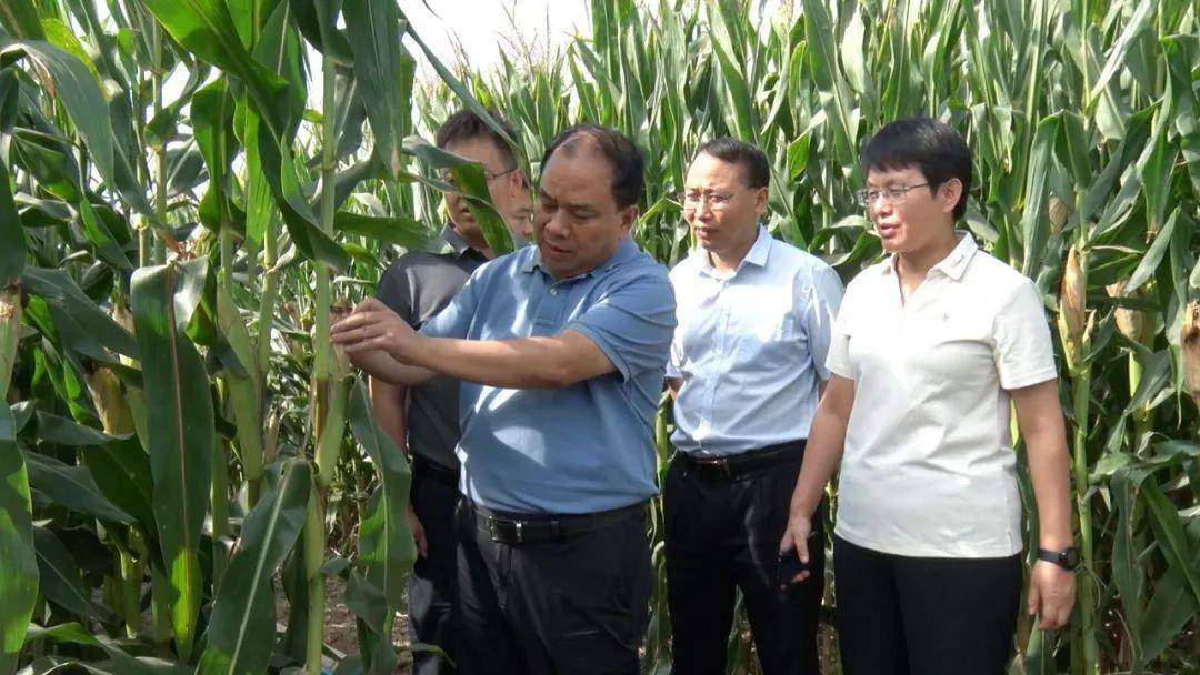 偃师区区长赵玉勋图片