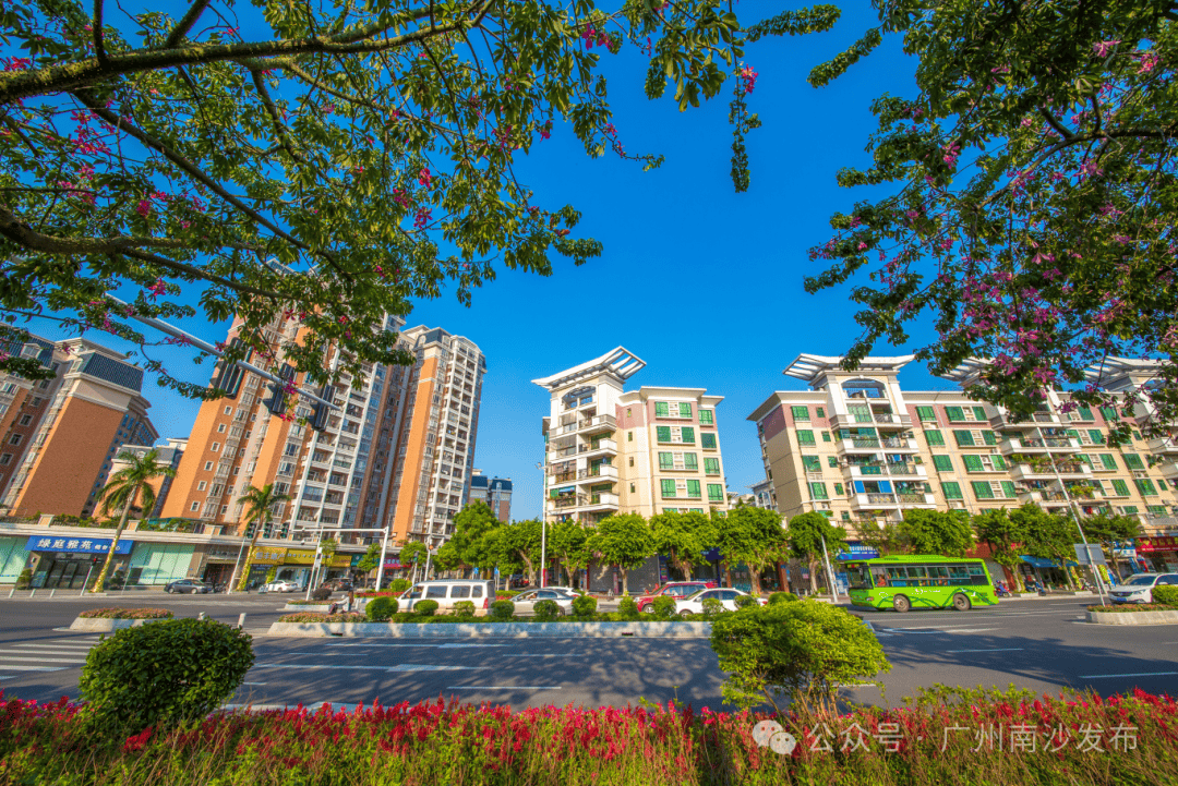 "上新"12大项目,大岗镇2024年招商大会"大丰收"