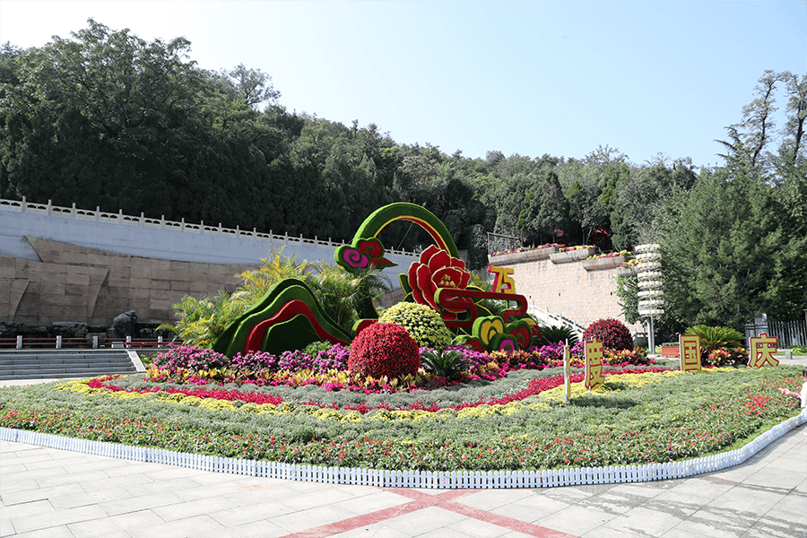南山公园!大型立体花坛迎国庆!_植物_阳泉市_北广场