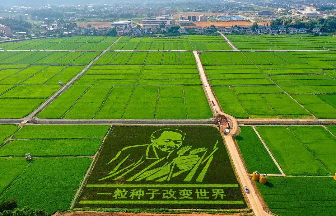 写在洪江市承办第三届怀化市旅游发展大会召开之际_文化_水稻_洪商