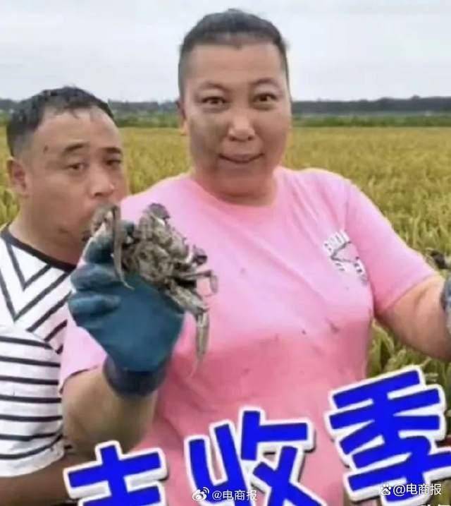 网红东北雨姐人设崩塌视频疑似造假网友炸锅了大型纪录片东北雨姐塌房