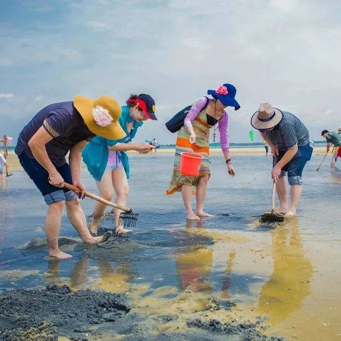 银滩趣味赶海节 | 欢乐挖螺,等你来战!火热报名中