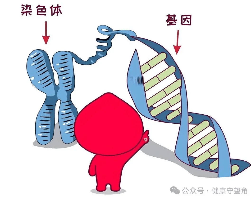 nga遗传基因200图片合集图片