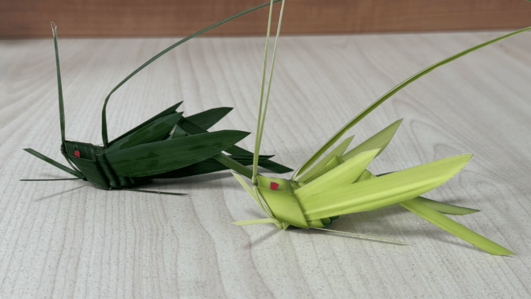 非遗技艺点亮高墙:"棕"使生命薄如翼 编织梦想踏风行_王星_棕编_作品