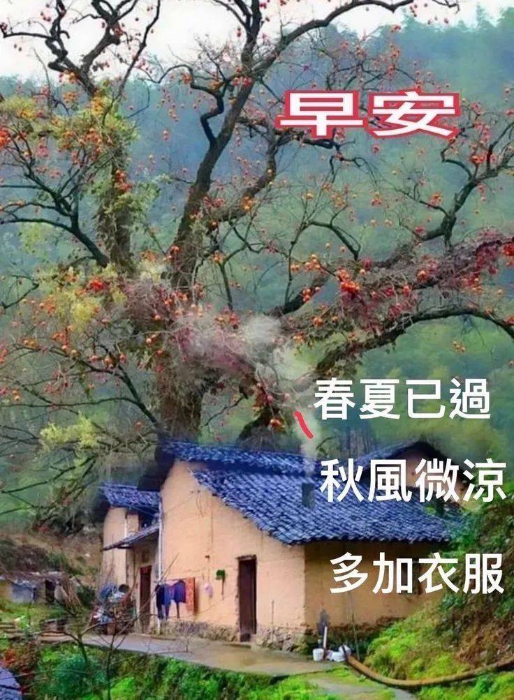 秋天最新早上好唯美风景祝福图片 微信聊天早安问候语精选