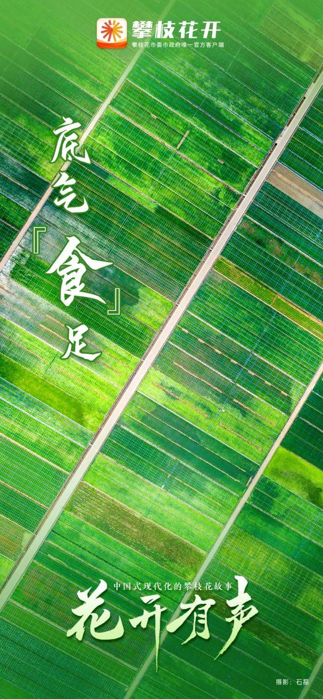 底气“食”足——中国式现代化的攀枝花故事系列报道（四）_盐边县_仁和区_农业