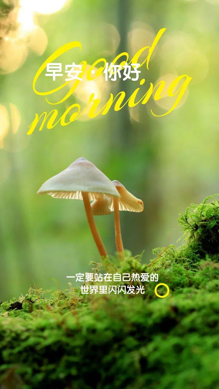 优选早安朋友圈文案图片,新的一天,愿你元气满满