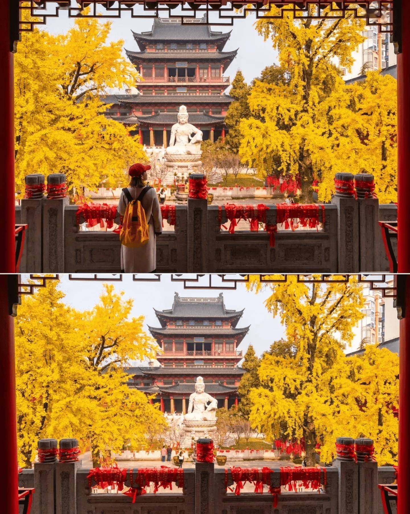 30门票20元赏秋胜地两棵百年银杏叶黄的时候显得更美2⃣毗卢寺