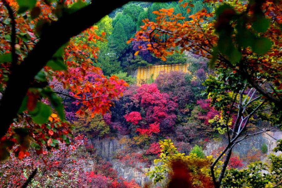 秋日
文旅视频（秋日
旅游宣传语怎么写）《秋天旅游宣传语》