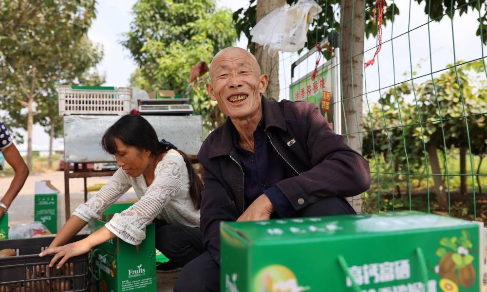 河南尉氏:猕猴桃变致富果 乡村振兴有钱景